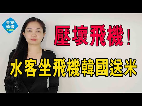 活久見！中國水軍坐飛機給韓國送米？形勢反轉！從中國倒賣大米，嘴上對華說不的韓國，吃的卻挺香。#粵語 #粵語新聞 #往韓國背米