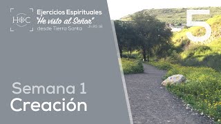 🙏🏻 Día 5 - Creación | Semana 1 - Ejercicios Espirituales | Tierra Santa| Magdala