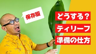 【保存版】レイメイキング前のティリーフの準備 ~ How to prepare for Ti leaf ~