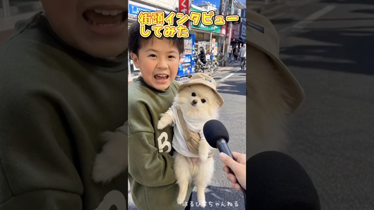 街頭インタビューしてみたらまさかの…#ai #街頭インタビュー