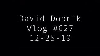 [ Deleted Vlog ] - David Dobrik I HAD TO SLAP HIM
