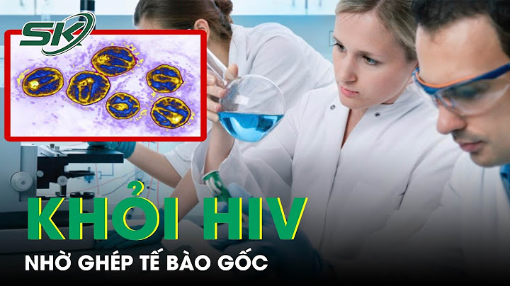 Hiv tác động vào tế bào nào của cơ thể năm 2024