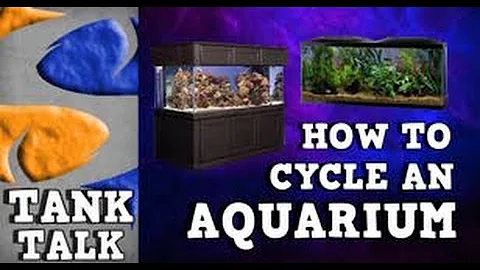 HOW TO CYCLE AN AQUARIUM TANK TALK Presented by KGTropicals
