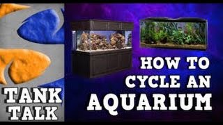 HOW TO CYCLE AN AQUARIUM TANK TALK Presented by KGTropicals