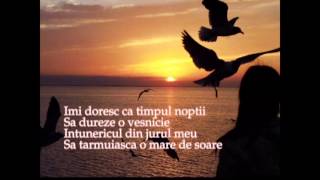 Nightwish - sleeping sun versuri limba romana