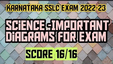 SSLC|Science|Important diagrams for exam in English|class 10|Science|important diagrams