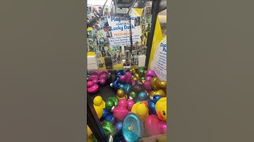 DAY 17 of the Lucky Duck Claw Machine Challenge!