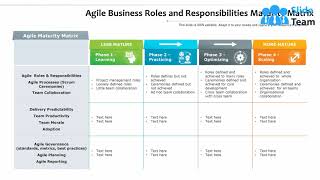 Agile Business Roles And Responsibilities Maturity Matrix