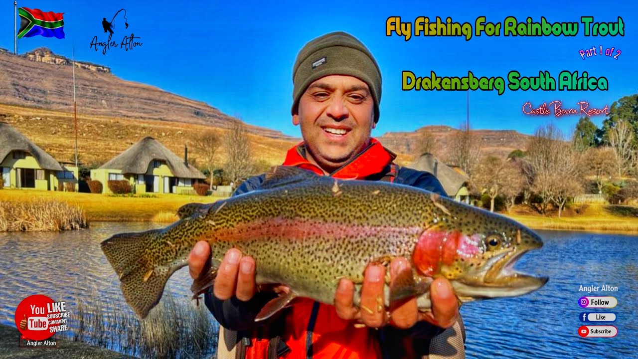 Fly Fishing for Trout Drakensberg South Africa (Part 1) YouTube