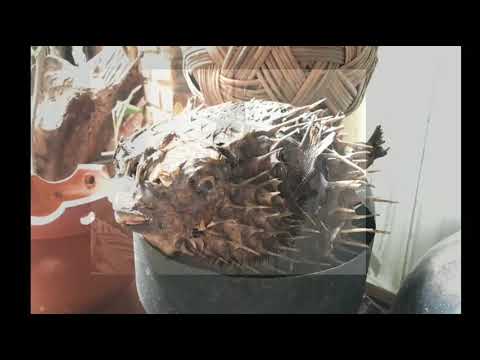 Cách làm Nghêu Hấp Thái siêu ngon đơn giản trong 5 phút ăn là ghiền | Thai clam recipe