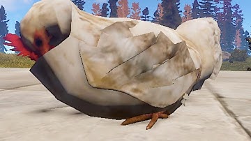 rust chicken sleep animations