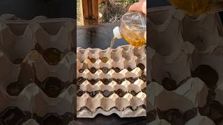 Schütte Altes Öl In Eierkartons