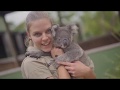 Cuddling Koala Joeys