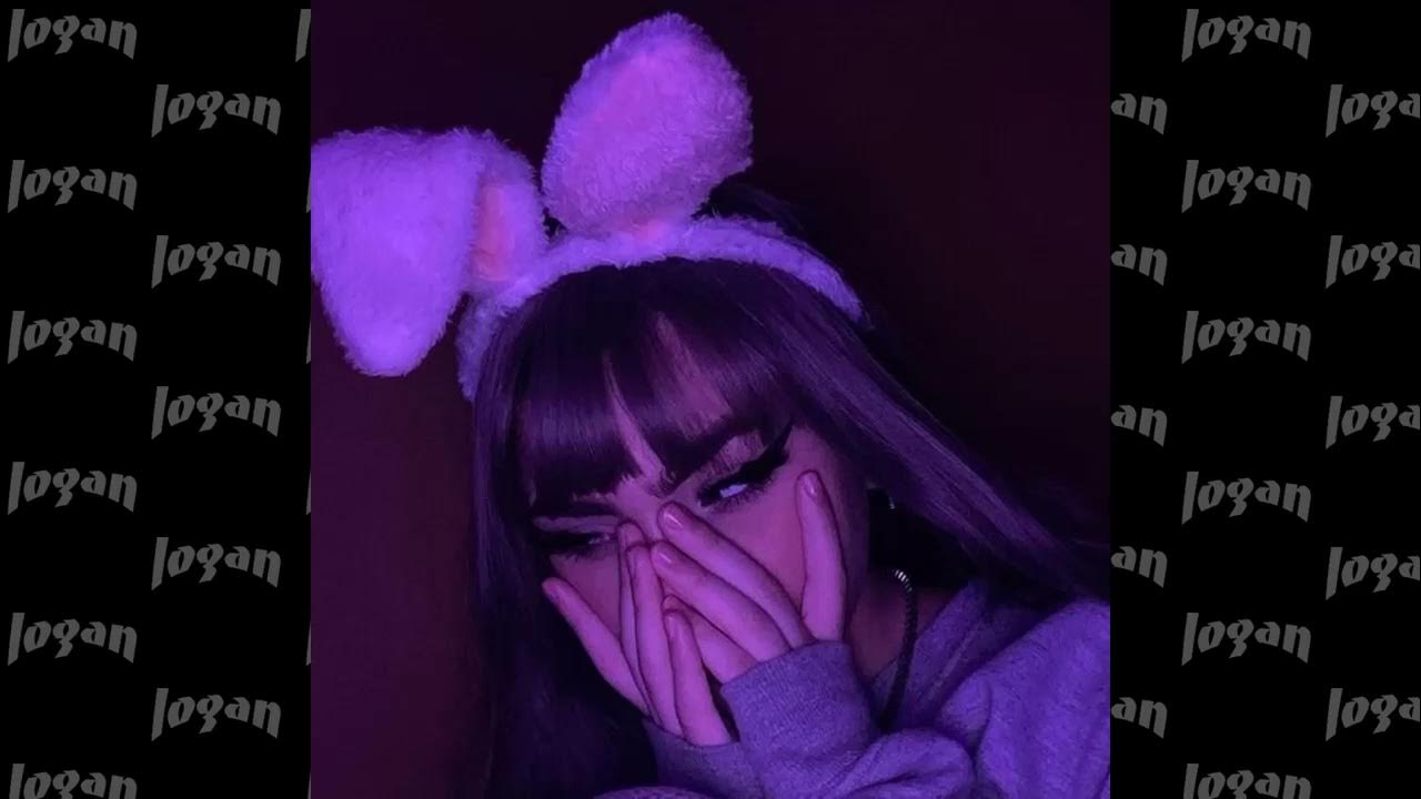 Saluki feat toxi ventonyl