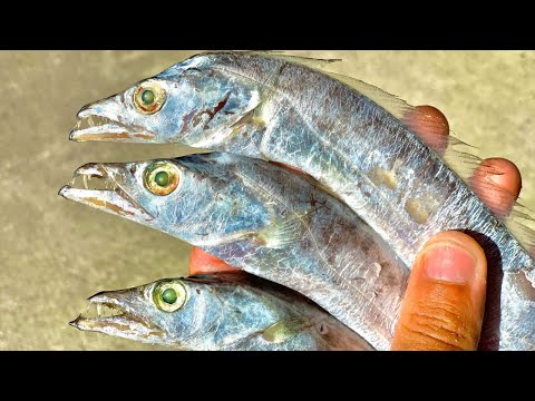 How To Make The Best Rig For Kingfish (Stinger Rig With