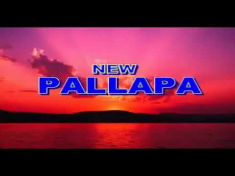 NEW PALLAPA | 3 HARI 3 MALAM - ANI ARLITA