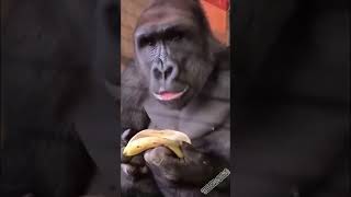 Как надо есть бананы