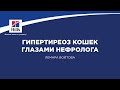 Вебинар на тему: «Гипертиреоз кошек глазами нефролога». Лектор – Лемара Войтова.