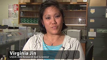 Soil Respiration  Overview