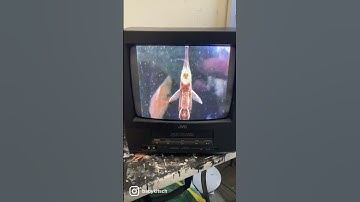 SEQUENCE: sight#retro #meta #fish #vhs #crt #aesthetic #nostalgia #retroaesthetic #dreams #shorts