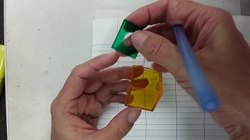 Mrs Taylor cross sections 7th grade