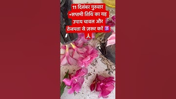 11 दिसंबर गुरुवार + सप्तमी तिथि का यह उपाय चावल और तेजपत्ता से ज़रूर करें 🕉️🙏🏼