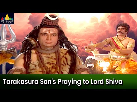 Tarakasura Son's Praying to Lord Shiva | Episode 102 | Om Namah Shivaya Telugu Serial - SRIBALAJIMOVIES