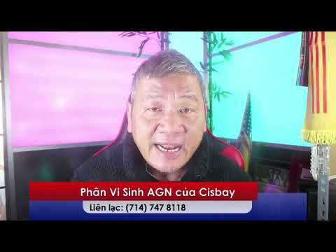 Video CT ĐẶC BIỆT THỨ BẢY 9/1/2021: Chính sách của TT Trump... - youtube