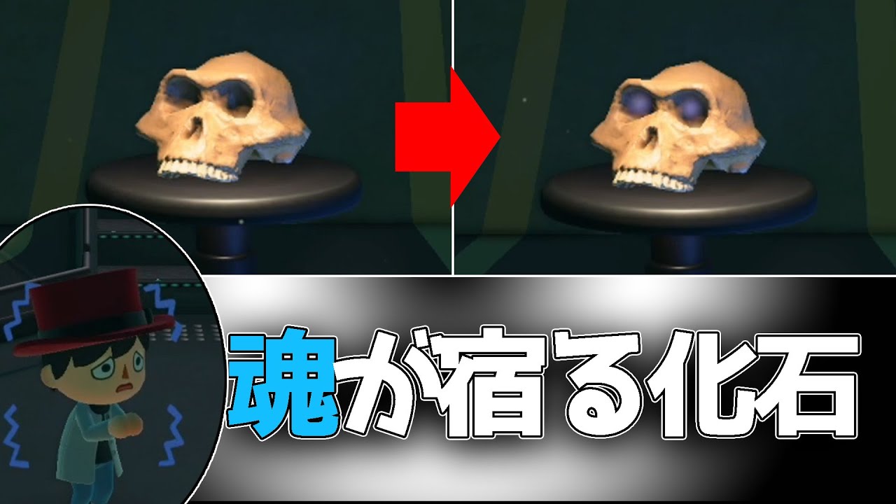 みんなが知らない博物館の心霊現象 あつまれどうぶつの森 Youtube