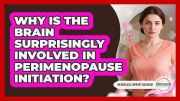 Why Is The Brain Surprisingly Involved In Perimenopause Initiation? - Menopause Support Network