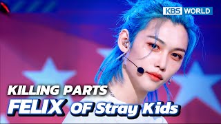 [Killing Parts] Felix of Stray Kids | KBS WORLD TV
