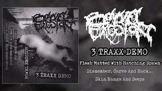 Video thumbnail of "Bowel Erosion - 3 Traxx Demo FULL (2018 - Goregrind)"