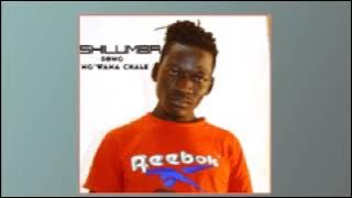SHILUMBA  Song  NG'WANA CHALE