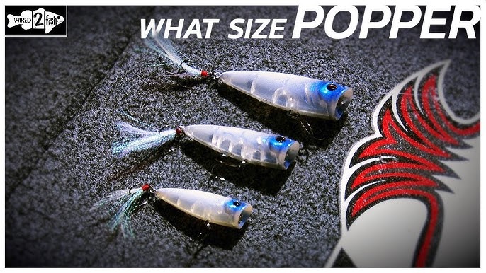 Topwater Poppers For Summertime Largemouth Wired2Fish, 51% OFF