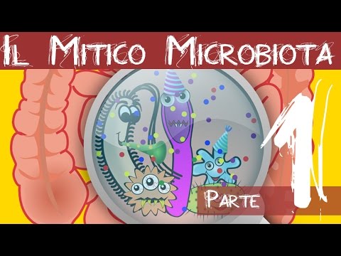 Il Microbiota Intestinale - Come reagisce il tuo intestino? Ciò che mangi potrebbe farti ammalare!