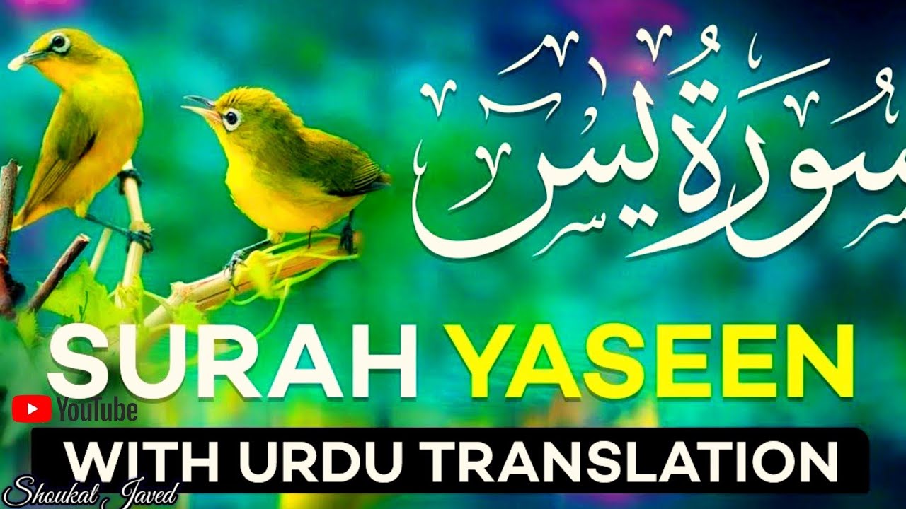 beautiful tilawat quran best voice🕋🕌 | surah yaseen | surah rahman be heaven