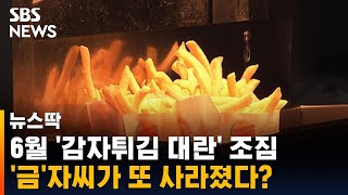 감자 수급도 불안…패스트푸드점서 또 사라진 감자튀김 / SBS / 뉴스딱