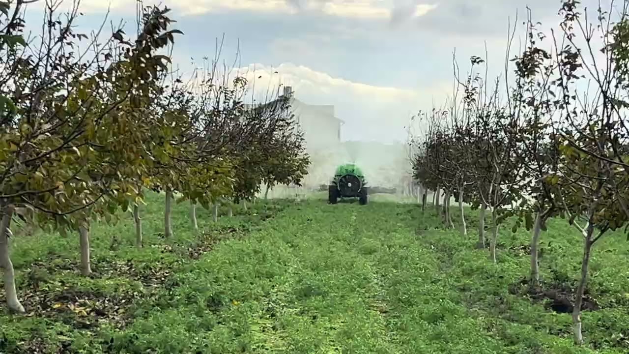 Ceviz bahçemizde 2026 sezonuna başlıyoruz