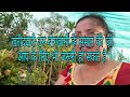 Essential shopping for vijaya s creative garden shopping haul hindi urdu