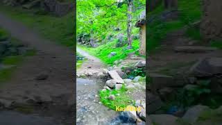 Eski Köy Türküleri Ve Manzaraları