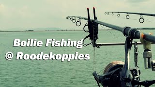 Boilie Fishing @ Roodekoppies