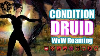 GW2 - WvW Roaming Condition Immob Druid - Guild Wars 2 Build - Ranger Gameplay End of Dragons