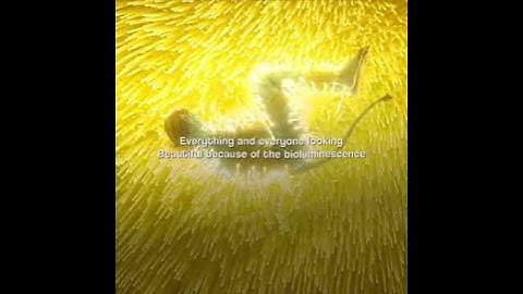 This literally breaks my heart 💔 #avatar #atwow #avatarthewayofwater #jakesully #loak #loaksully