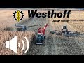 Claas Lexion 7600 & Claas Cougar - Krugar SMU 1350 ( Simple CUT & SOUND) Westhoff Agrar