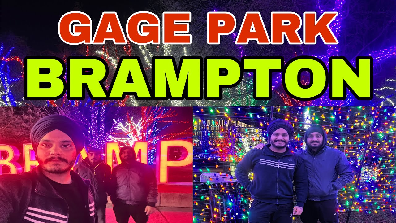 Amazing night view of Gage park brampton downtown 🤩 ||