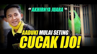 AADUKI Mulai Seting Cucak Ijo dari SOLO