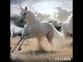 اللهم بشرني بالخير