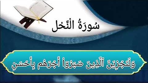 سورة النحل من الأية رقم(84-110) بصوت القارئ حمزة معاذ