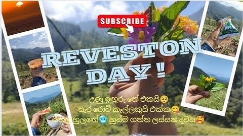 Travel vlog | traveling srilanka | reveston |රිවර්ස්ටන් | mind relax | @soulswayofficial