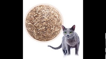 Cat Toy Compressed Catnip Ball 100% Edible Cat Treats
